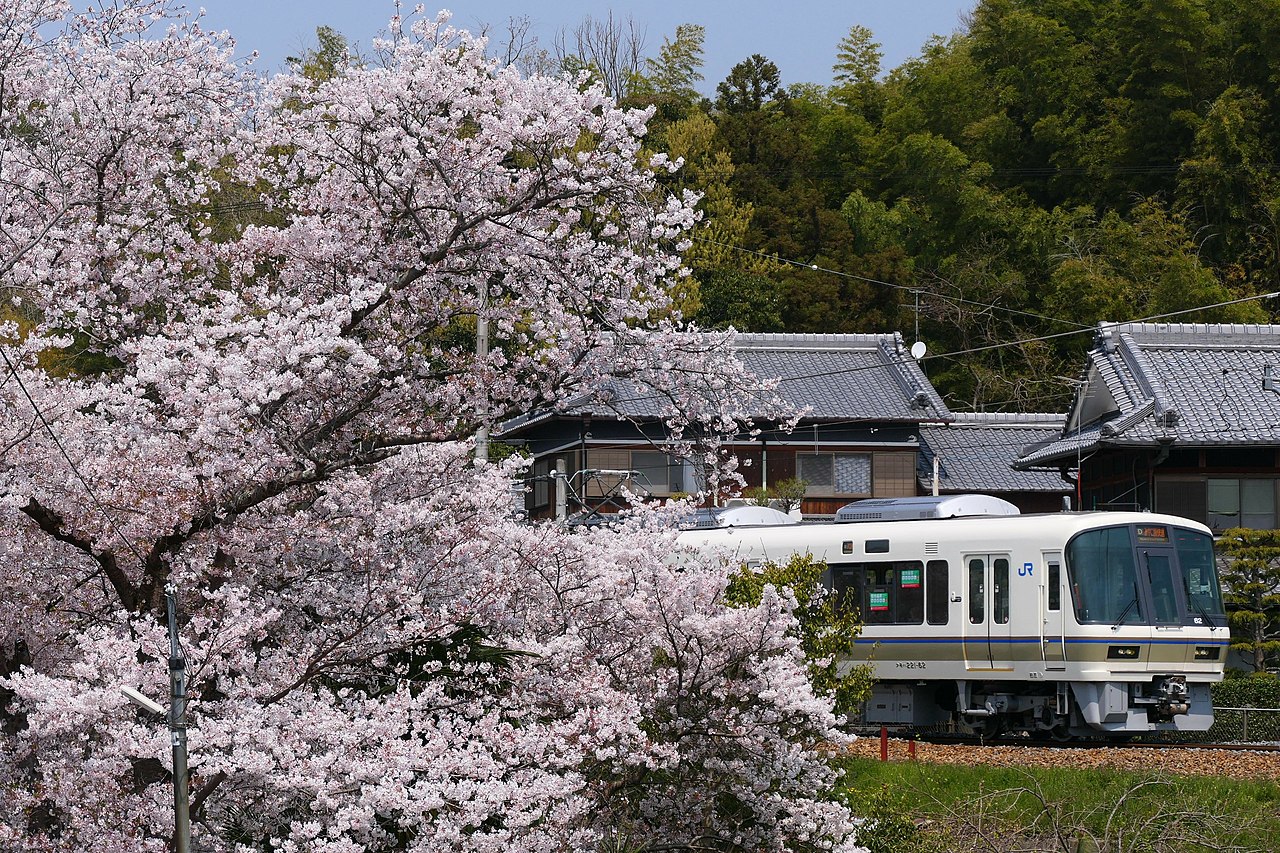 A 221 series 'Miyakoji Rapid' running on the JR Nara Line.